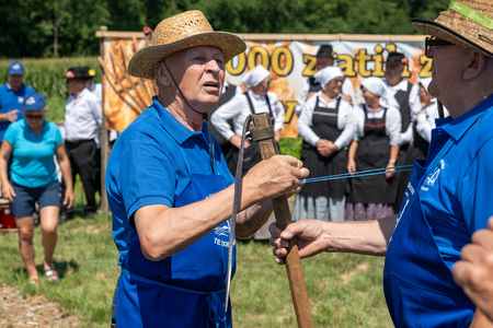 Dobrovnik - 2000 semen - ZETEV 2025-1174648